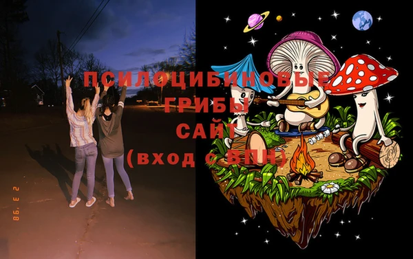 ешки Бородино
