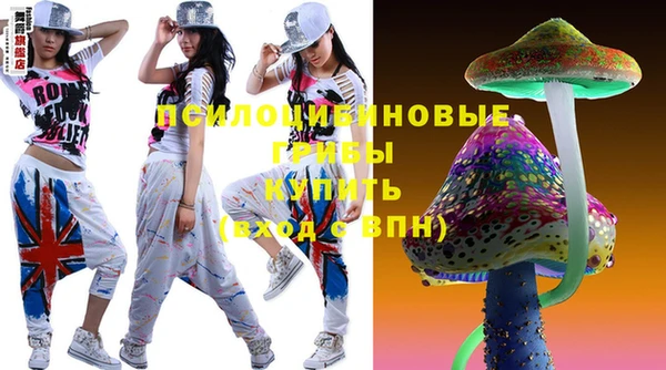 амф Бронницы