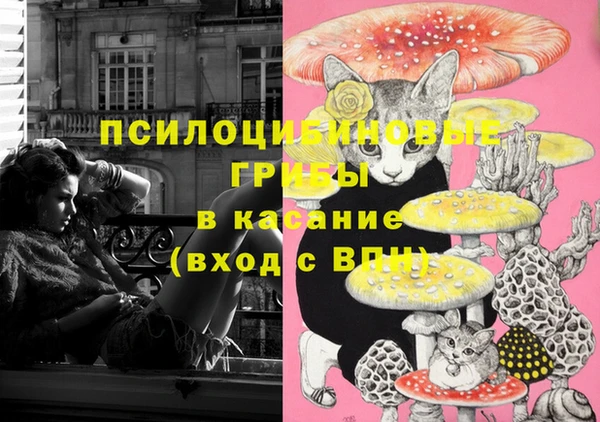 ешки Бородино
