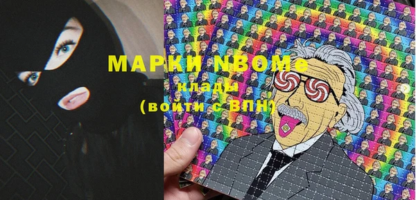 ешки Бородино