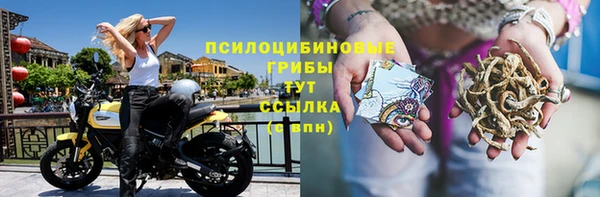 ешки Бородино
