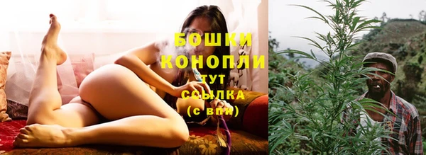 ешки Бородино