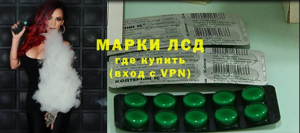 ешки Бородино